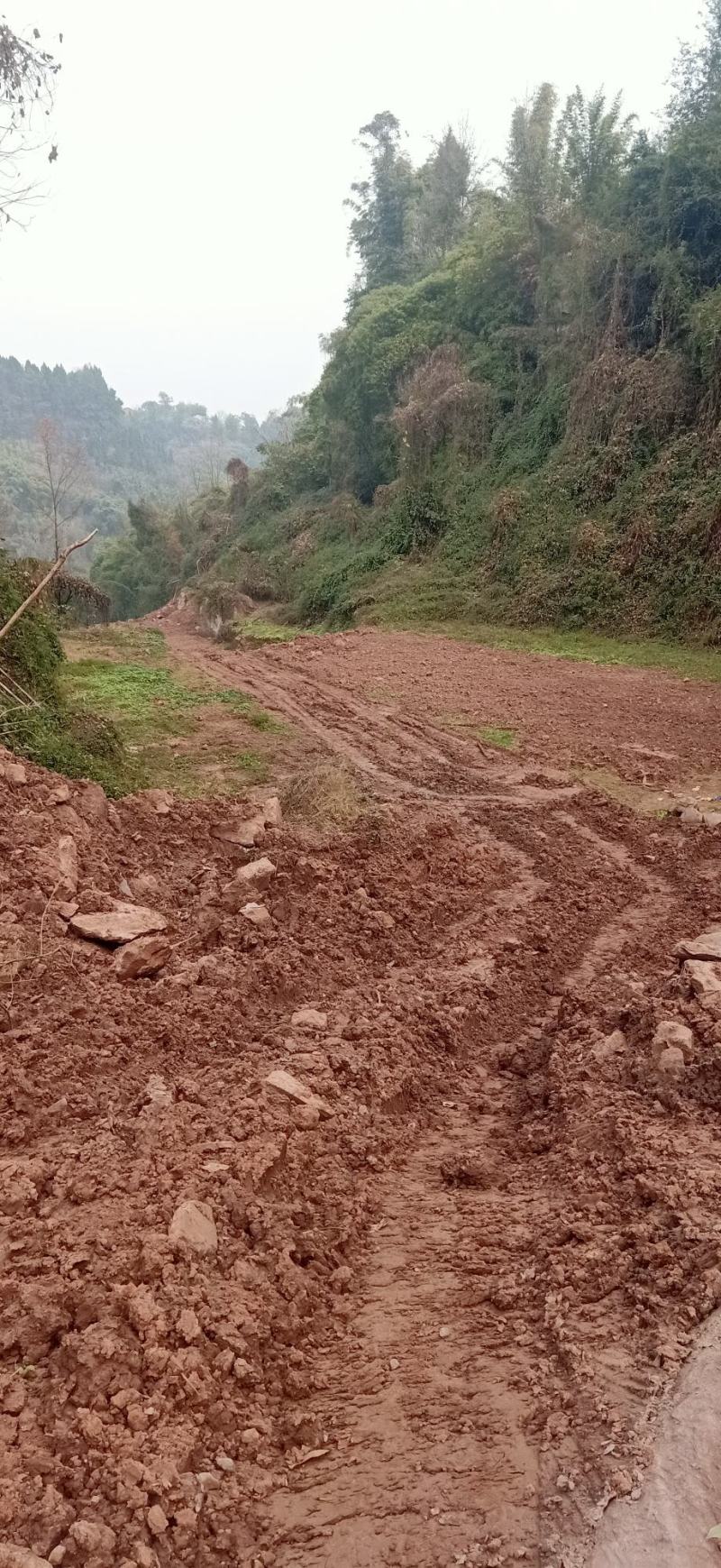 乡村山区林地出租