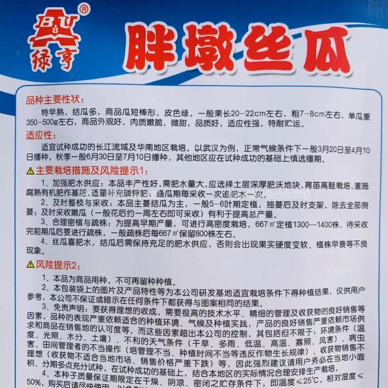 胖墩肉丝瓜种子特早熟结瓜多短棒形，微甜胖丝瓜种子基地专用