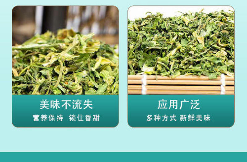脱水香菜脱水蔬菜烘干香菜香菜干电商加工厂调料厂调味品一件