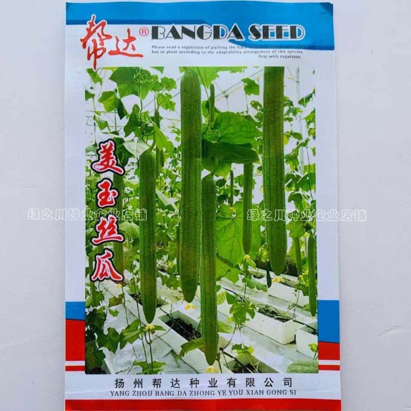 帮达美玉丝瓜种子早熟性好瓜条顺直特长丝瓜种子耐运输