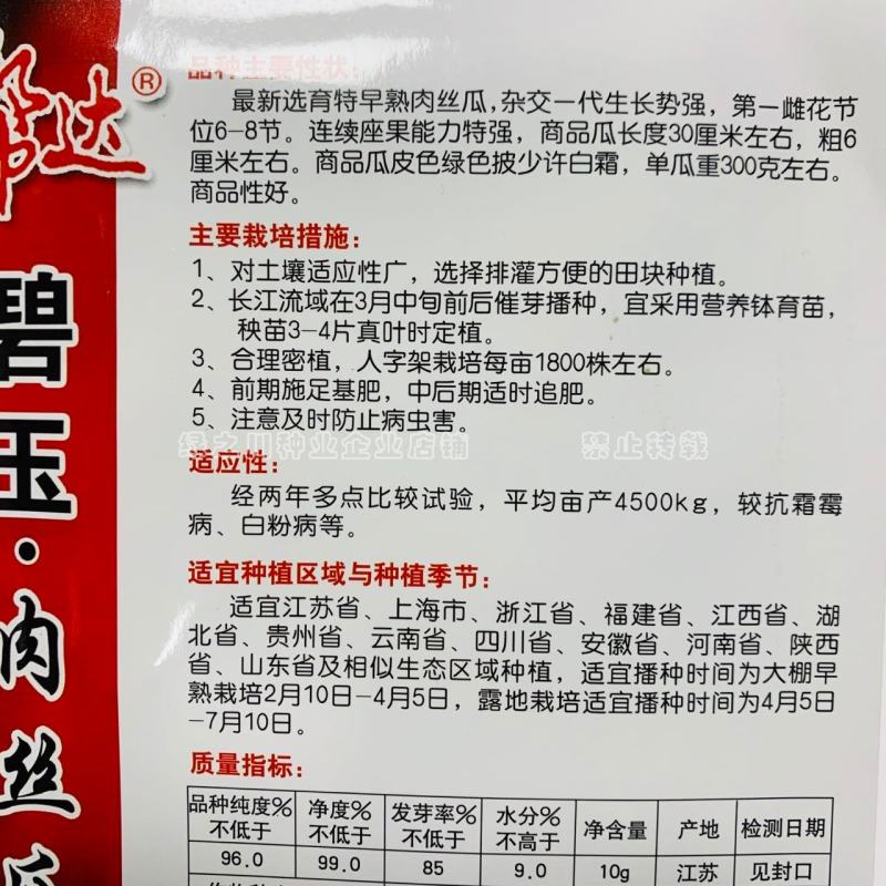 帮达碧玉肉丝瓜种子抗病丰产特早熟肉丝瓜，连续座果能力特强