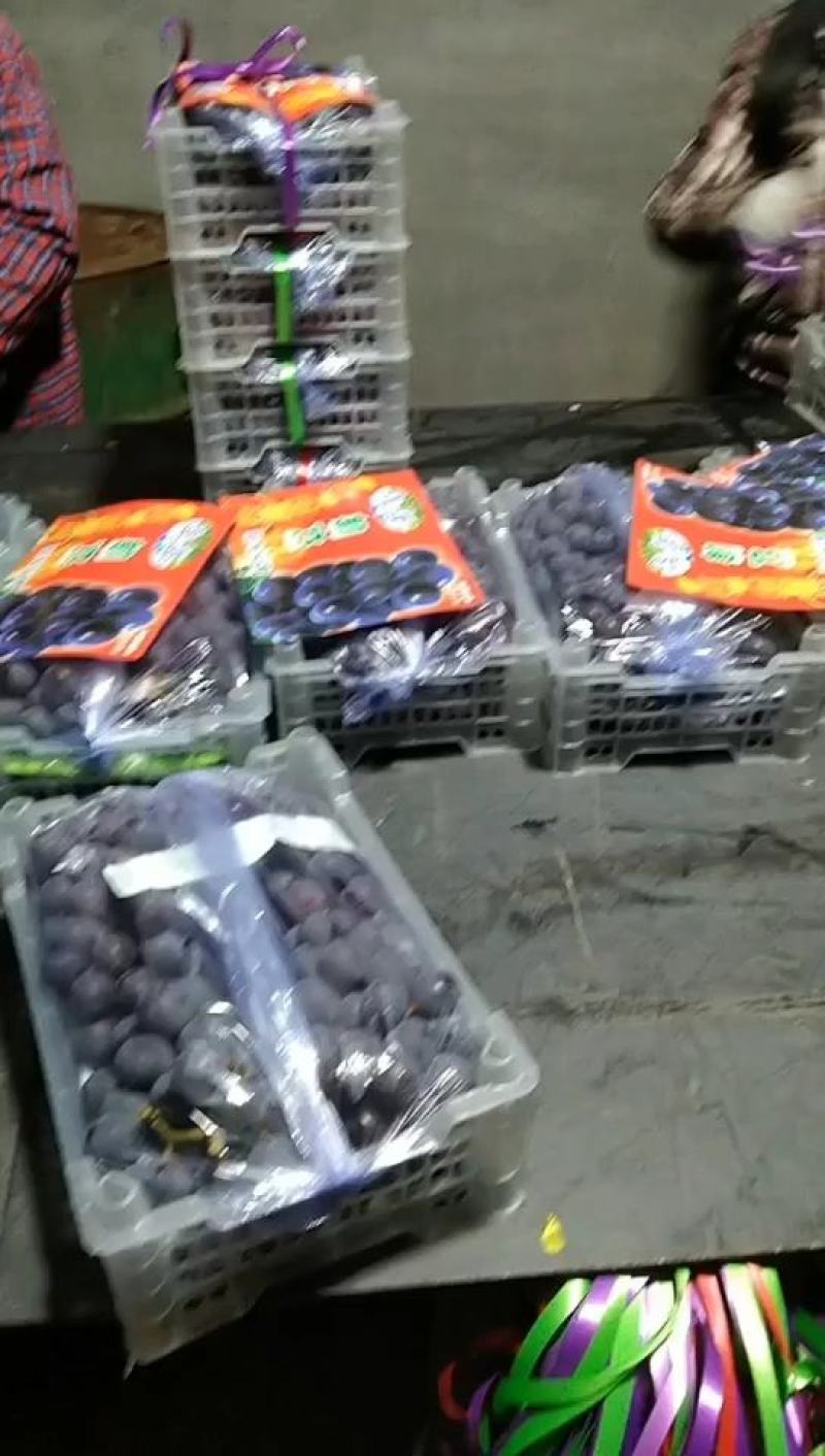 辽宁锦州北镇精品五斤白盒纯四串粒大灰好，5元一箱