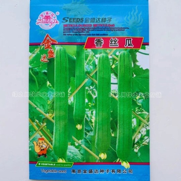 金盛达香丝瓜种子早熟长条形味香长丝瓜种子大田用种