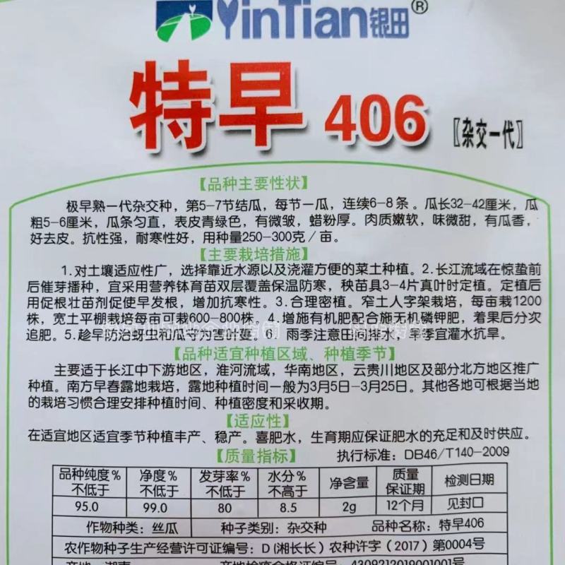 特早406杂交一代丝瓜种子特早熟有瓜香，好去皮，味微甜
