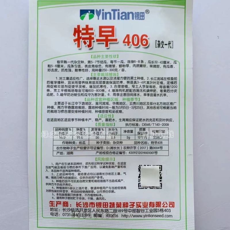 特早406杂交一代丝瓜种子特早熟有瓜香，好去皮，味微甜