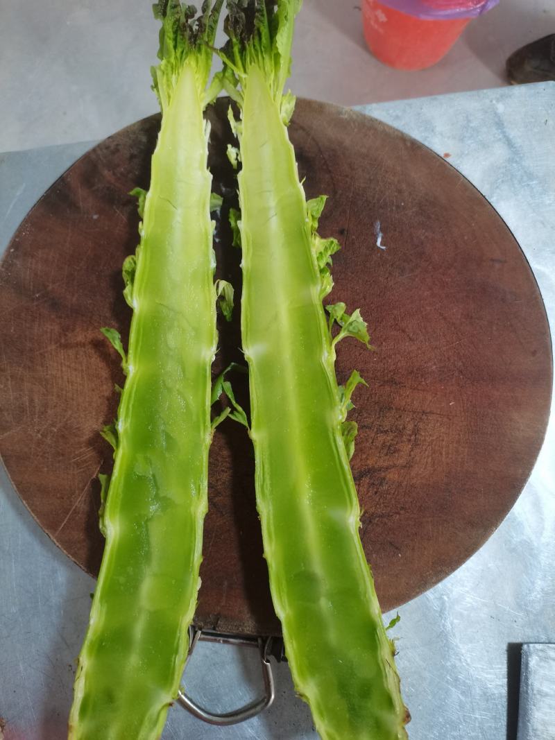 云南莴苣紫叶香莴笋大量上市支持代发视频看货欢迎采购