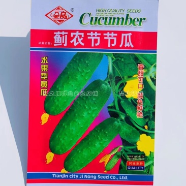 蓟农节节瓜水果黄瓜种子香甜可口肉质甜脆不空心早熟