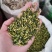 莲子心精选莲子芯去火永发药业专业正宗中药材批发