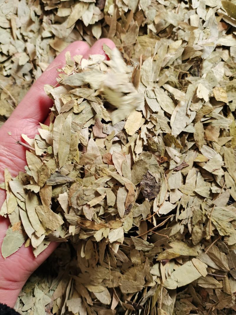 泻叶番泻叶手机实物拍摄量大从优欢迎选购