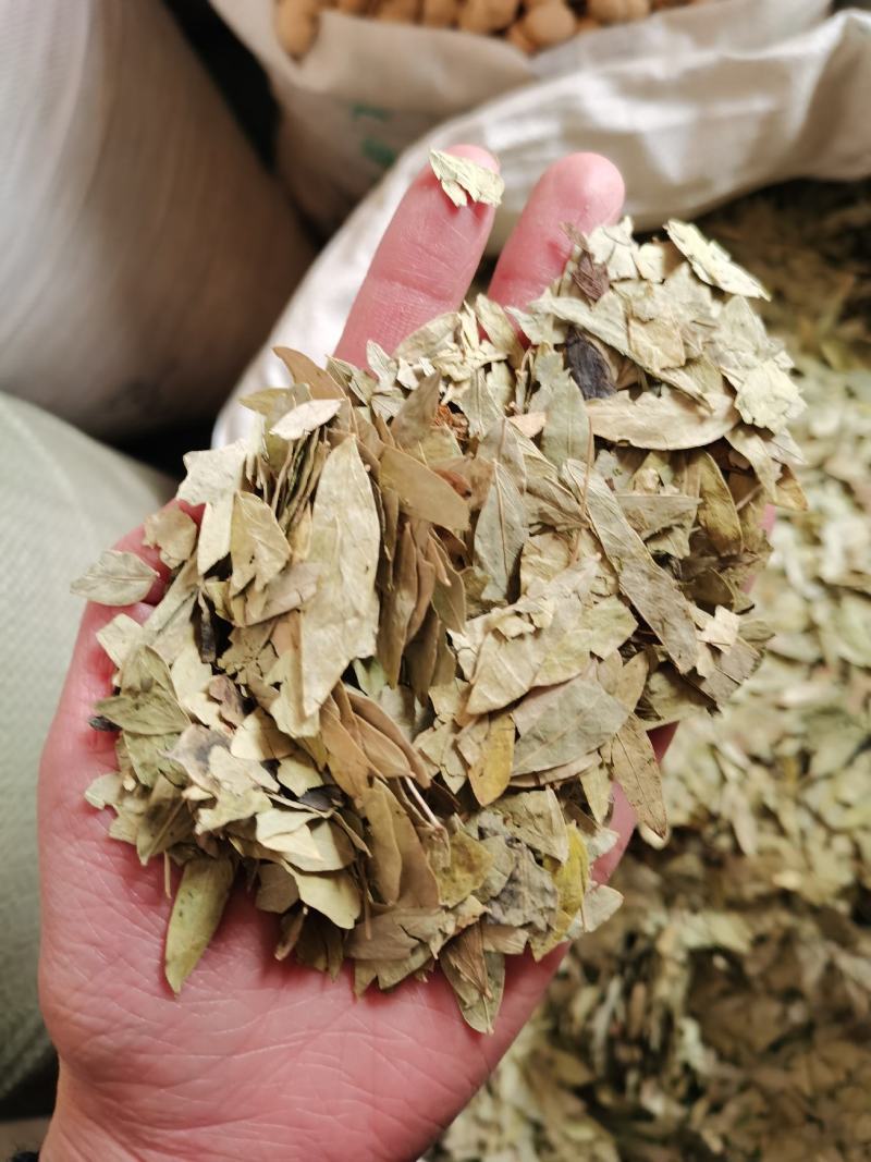 泻叶番泻叶手机实物拍摄量大从优欢迎选购