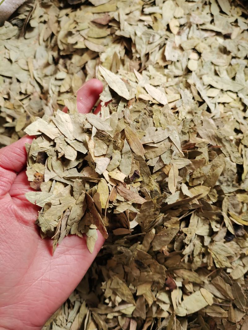 泻叶番泻叶手机实物拍摄量大从优欢迎选购