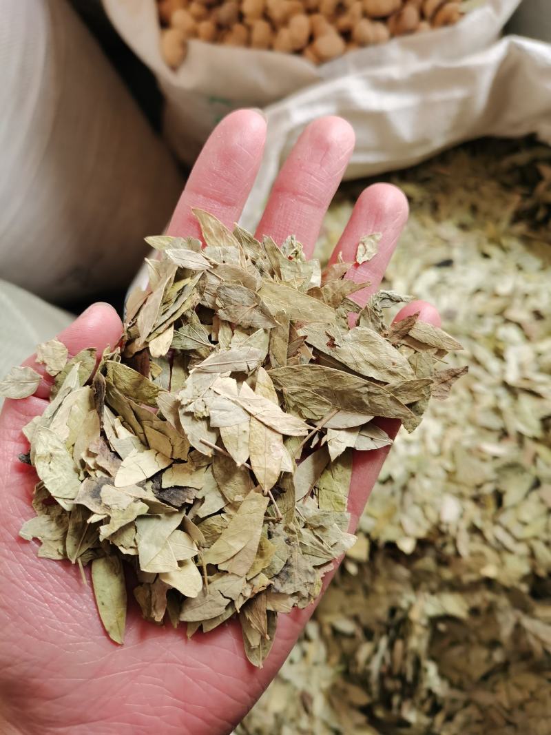 泻叶番泻叶手机实物拍摄量大从优欢迎选购
