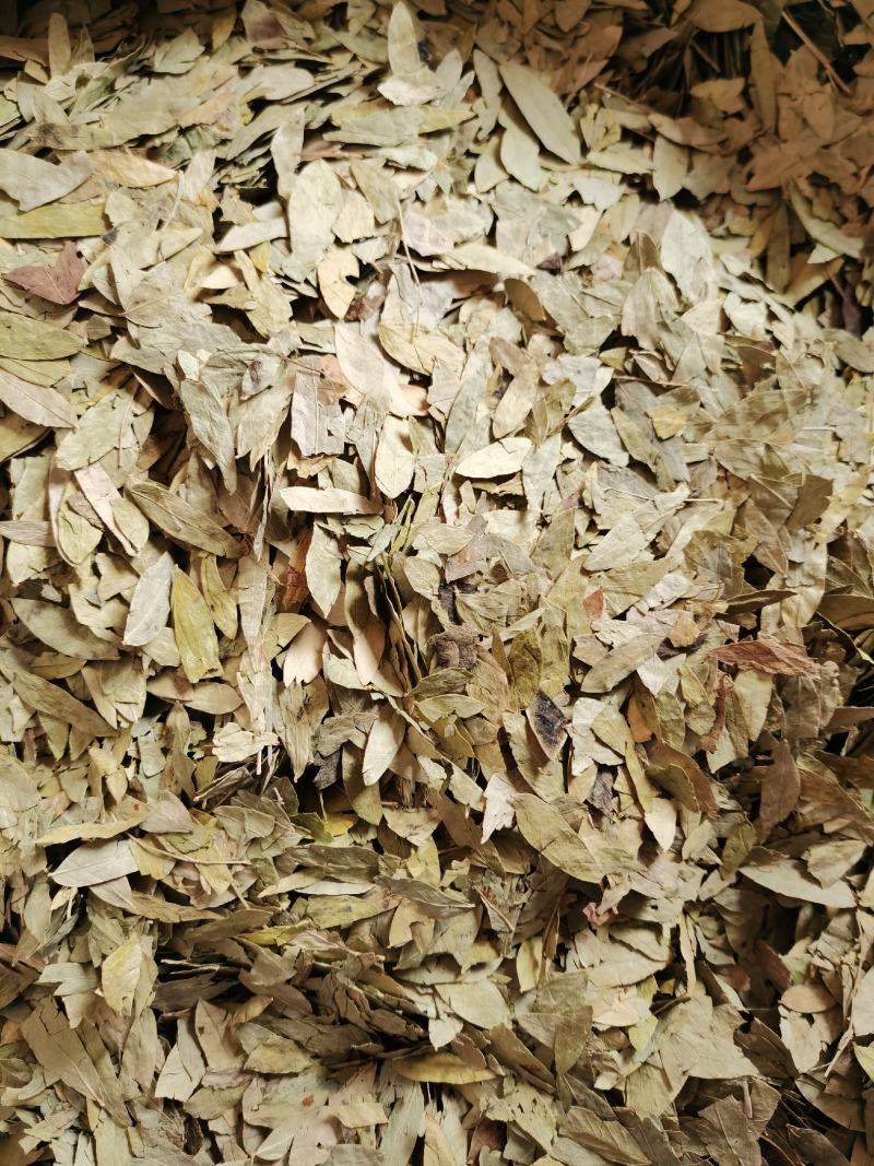 泻叶番泻叶手机实物拍摄量大从优欢迎选购