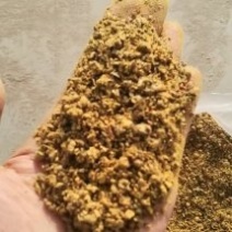 厂家直接发货棉粕棉籽饼，含蛋白高，适合畜禽饲料，保证质量