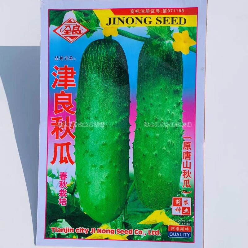 津良秋瓜黄瓜种子抗病耐热唐山秋瓜种子口感脆嫩清香，春秋播