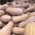 金韩蜜本南瓜Jz全黄南瓜全粉老南瓜加工厂南瓜食堂南瓜