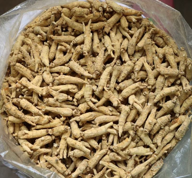 加拿大原枞西洋参，顺枞，广州实体批发，规格价格请看详情页