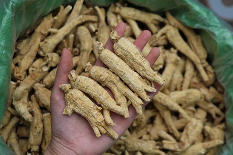 加拿大原枞西洋参，顺枞，广州实体批发，规格价格请看详情页
