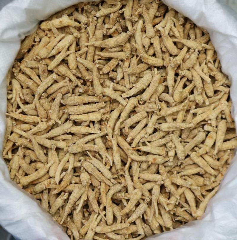 加拿大原枞西洋参，顺枞，广州实体批发，规格价格请看详情页