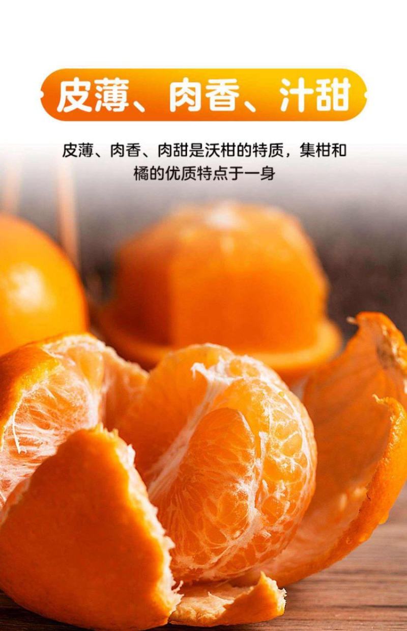江永大园优质沃柑大量上市中，农户一手货源，产地直供。