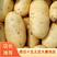 【荷兰土豆】产地发货质量好价格低对接全国批发市场