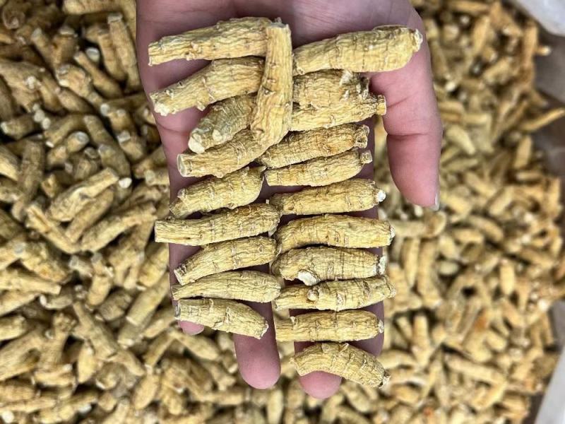 加拿大短枝西洋参，二面，广州实体批发，规格价格请看详情页