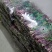 湖北特产精品红菜苔