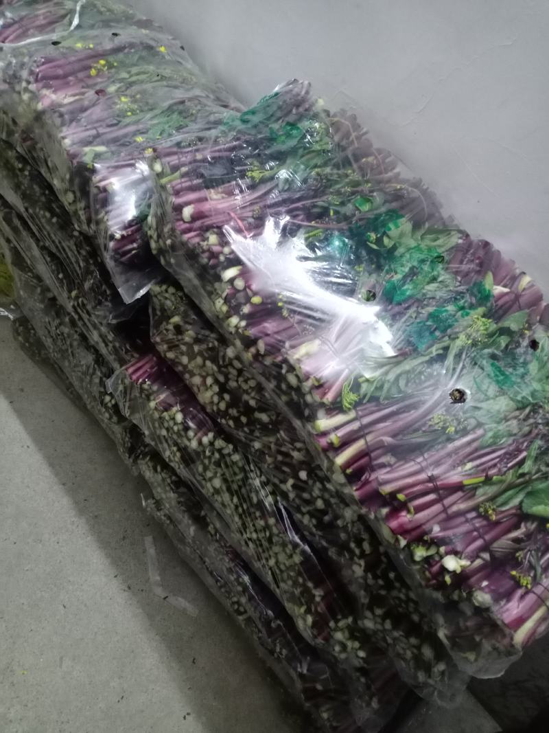 湖北特产精品红菜苔