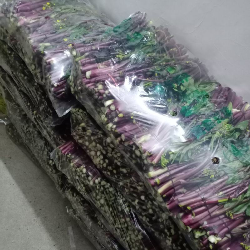 湖北特产精品红菜苔