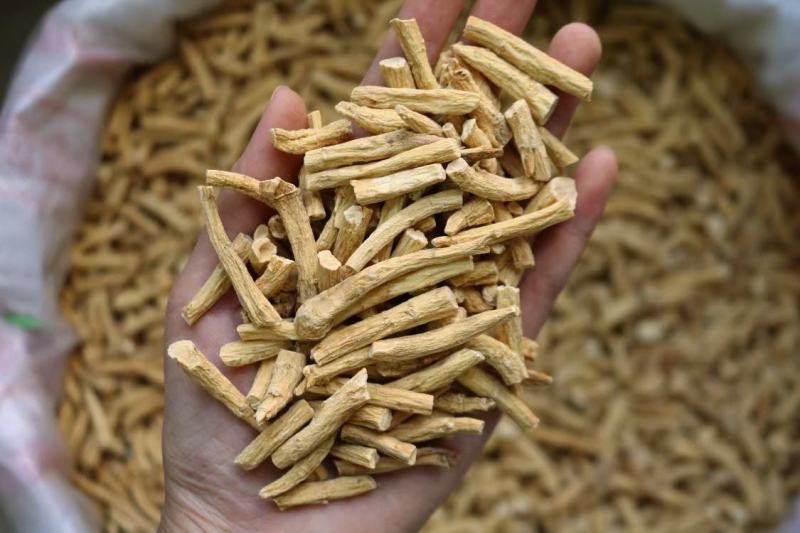加拿大西洋参节，参脚，广州实体批发规格价格请看详情页