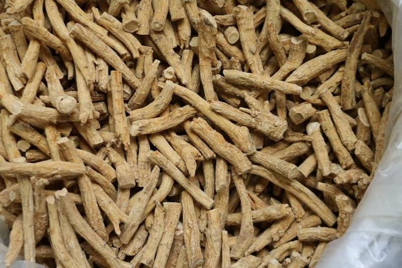 加拿大西洋参节，参脚，广州实体批发规格价格请看详情页
