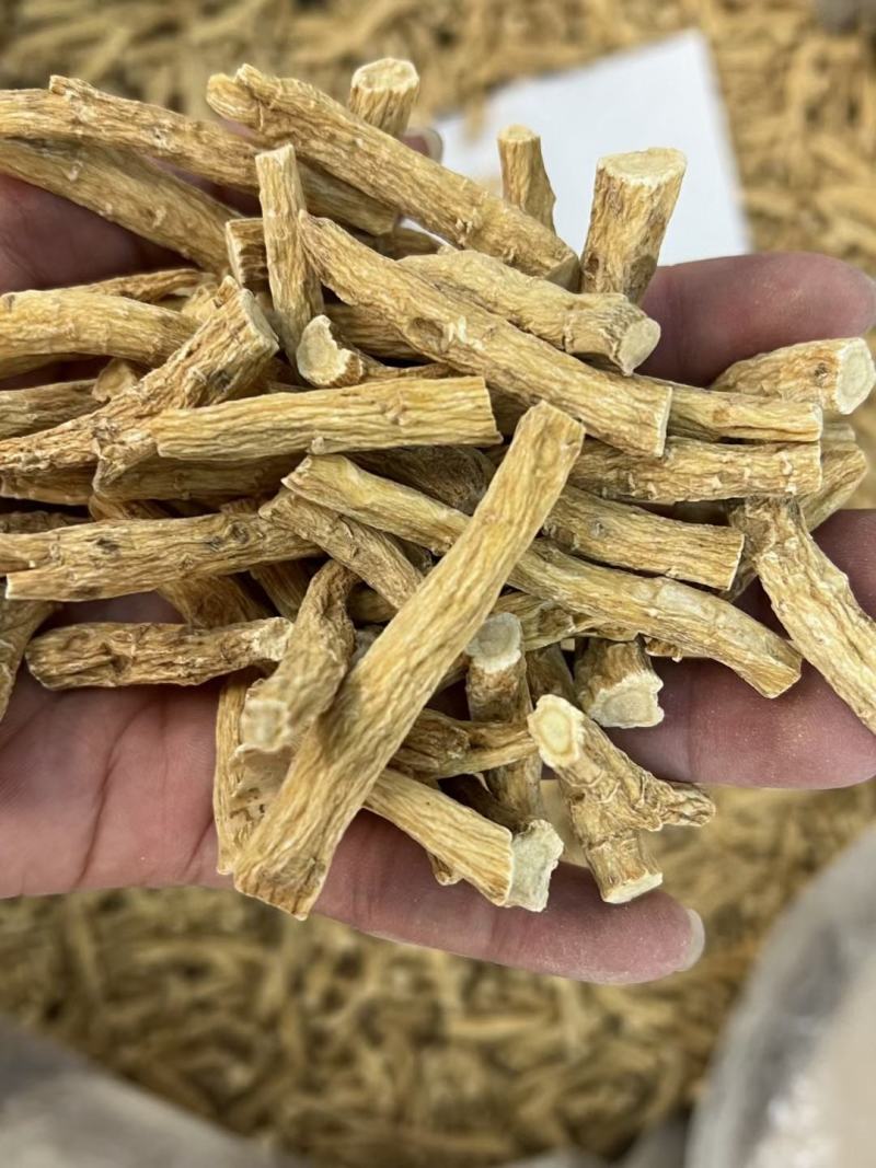 加拿大西洋参节，参脚，广州实体批发规格价格请看详情页