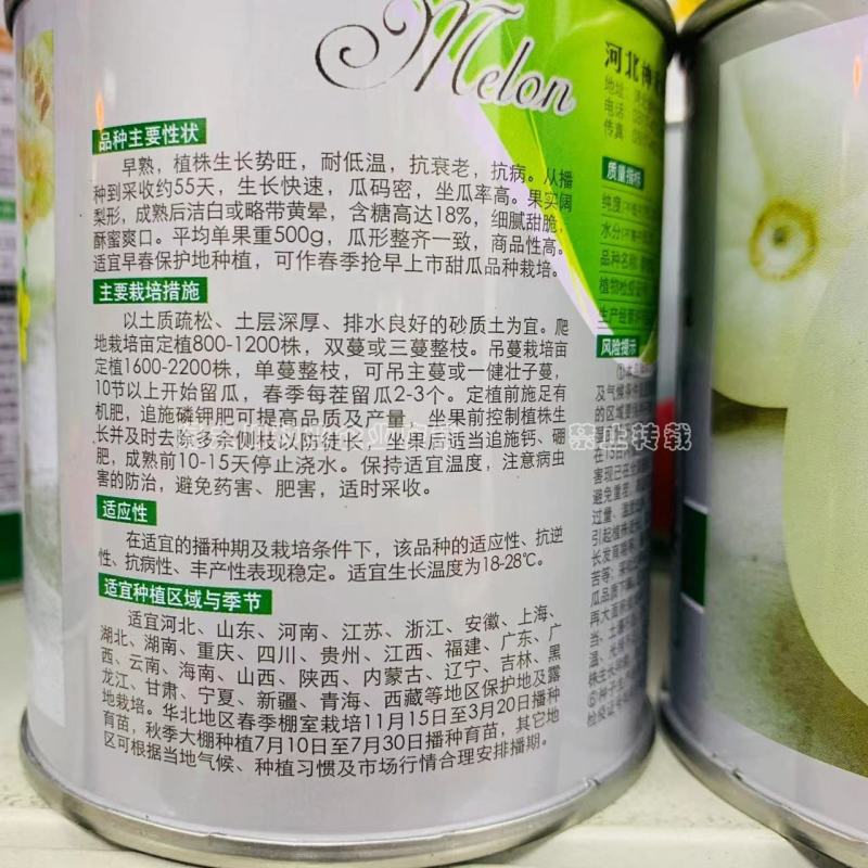 卡其香雪梨薄皮甜瓜种子基地专用种白皮甜瓜种子糖度高