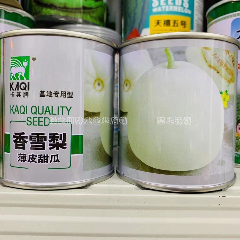 卡其香雪梨薄皮甜瓜种子基地专用种白皮甜瓜种子糖度高