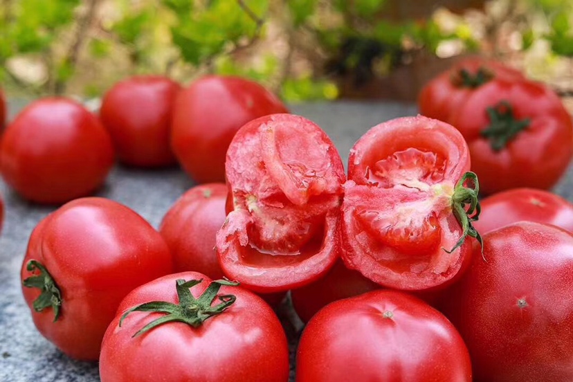 自然熟普罗旺斯西红柿切开后的果肉细节图 自然熟普罗旺斯西红柿切开后的果肉细节图