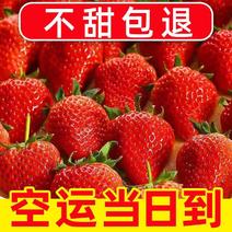 【】【坏果包赔】新鲜草莓树上熟草莓牛奶草莓红颜草莓