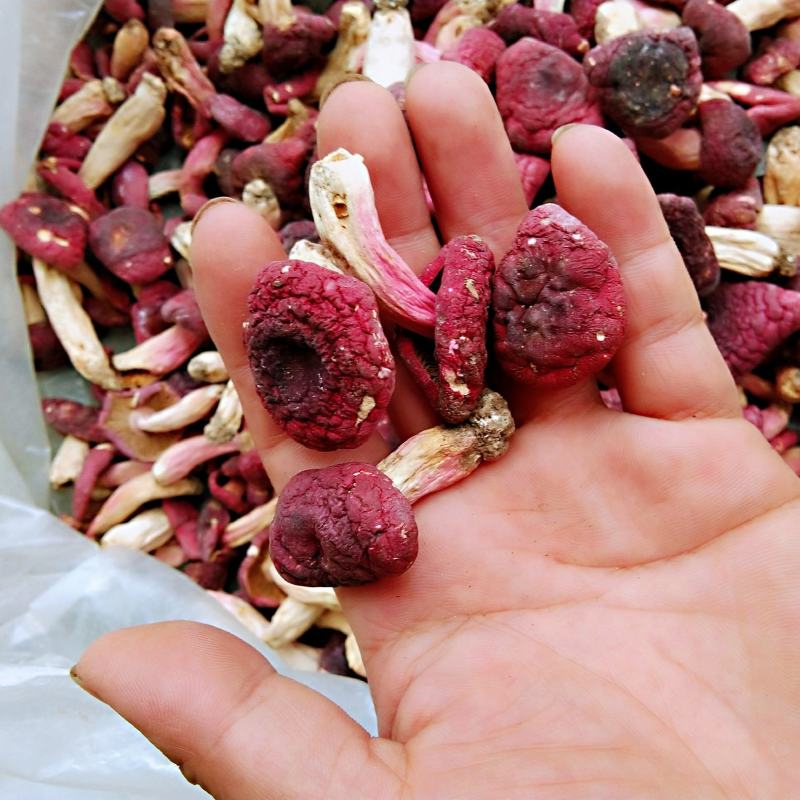 【电商代发】野生红菇包邮250克红菇红蘑菇干货红菇