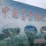 富贵籽基地直销，工艺组盆和精品单颗都有！