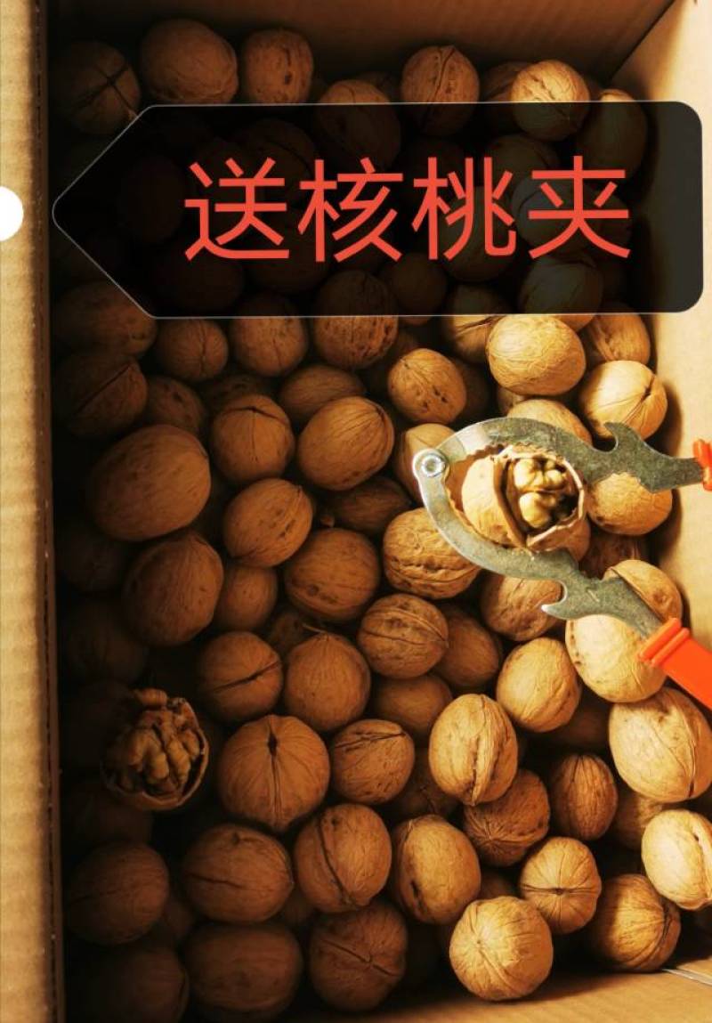 新疆2023年新核桃新货原味无漂白薄皮核桃原产地直供包邮