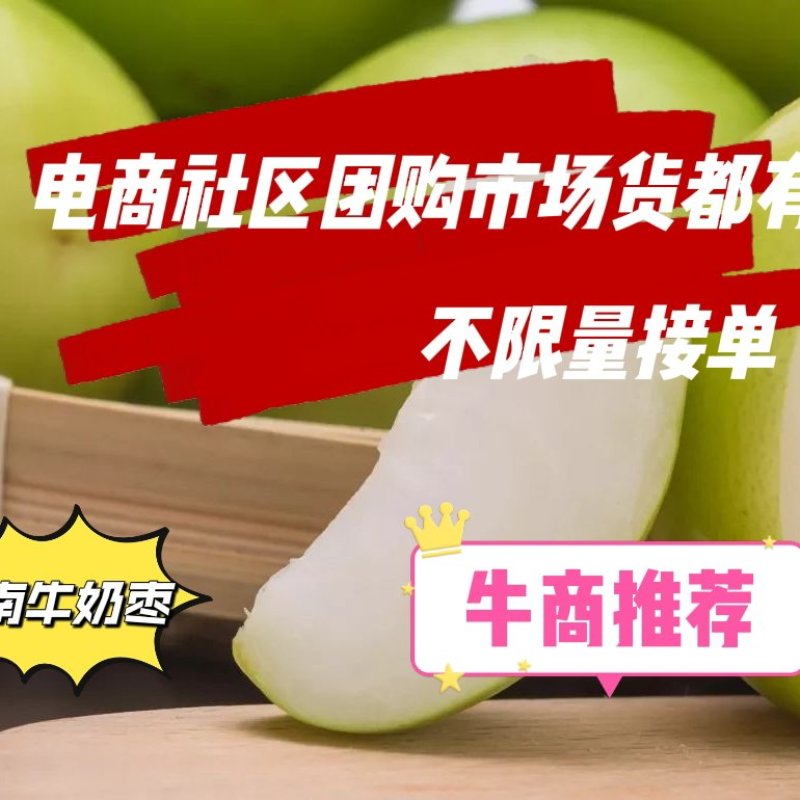 云南玉溪元江牛奶枣大量供应中，对接全国电商市场客户