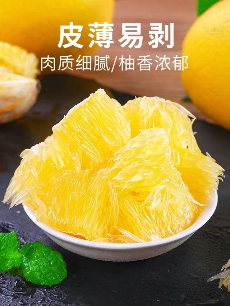 冰糖柚子苗柚子苗柚子树苗纯甜口感皮薄肉多无核当年结果