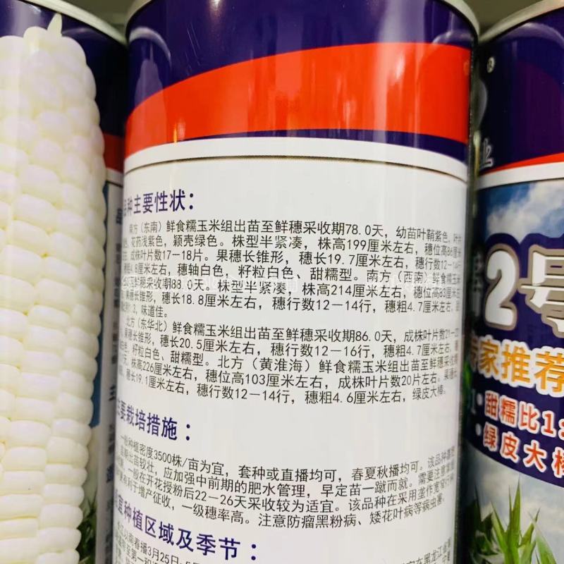 密甜糯2号甜糯玉米种子国审玉米品种鲜食糯玉米种子