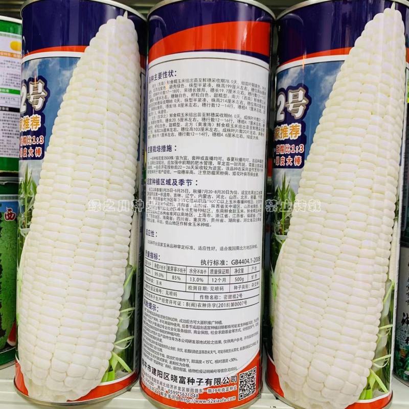 密甜糯2号甜糯玉米种子国审玉米品种鲜食糯玉米种子