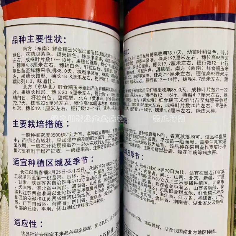 密甜糯2号甜糯玉米种子国审玉米品种鲜食糯玉米种子