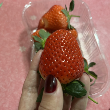 佐贺清香草莓