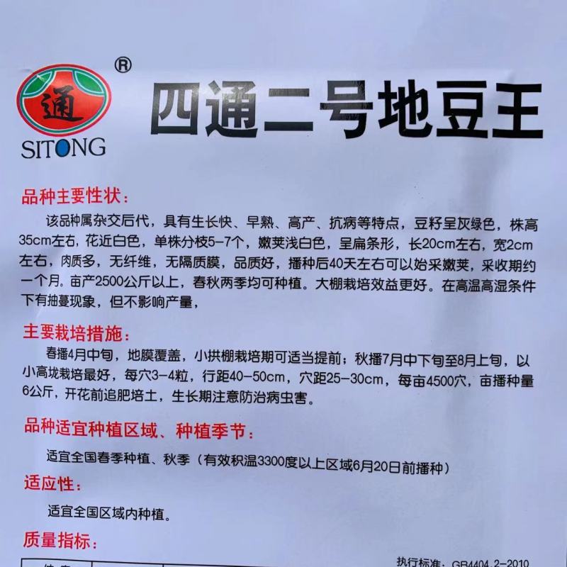 四通二号地豆王种子无架芸豆种子早熟丰产抗病扁条形二季豆种
