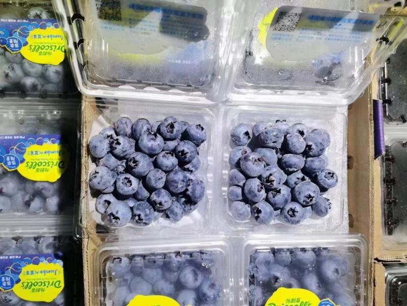 精品蓝莓各规格国产蓝莓云南蓝莓国产蓝莓