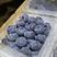 精品蓝莓各规格国产蓝莓云南蓝莓国产蓝莓