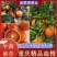玫瑰香血橙，塔罗科血橙，九月红橙产地直发货全国超市市场对