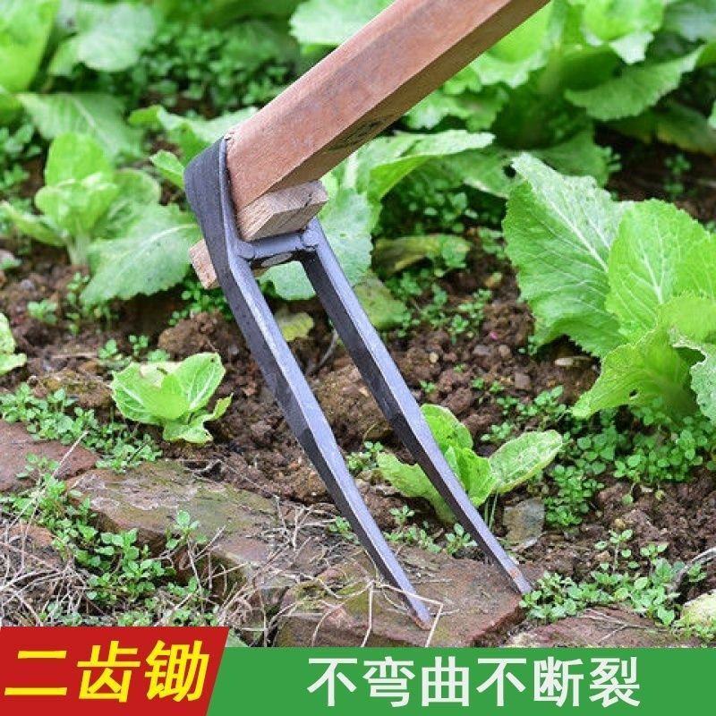 家用全钢长把二齿锄头两用挖土开荒种菜开垦种地农具两齿农用